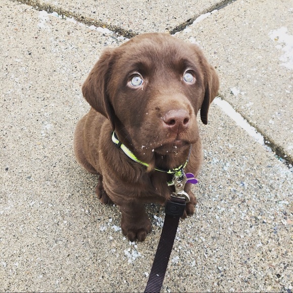 Meet your Posher, Vikki - Picture 6 of 7